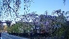 area1-20250501052015.jpg