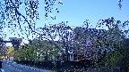 area1-20250501053016.jpg