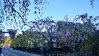 area1-20250501054015.jpg