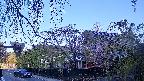 area1-20250501055016.jpg