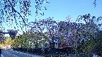 area1-20250501060015.jpg