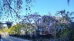 area1-20250501061016.jpg