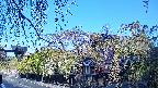 area1-20250501062015.jpg