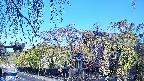 area1-20250501063016.jpg
