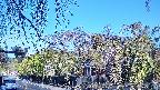 area1-20250501064016.jpg