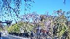 area1-20250501065016.jpg