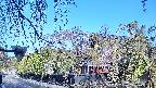 area1-20250501070015.jpg