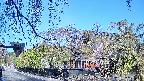 area1-20250501072016.jpg