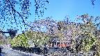 area1-20250501073016.jpg