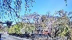 area1-20250501074016.jpg