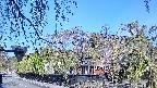area1-20250501075016.jpg