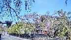area1-20250501080015.jpg