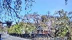 area1-20250501081015.jpg