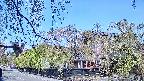 area1-20250501084016.jpg