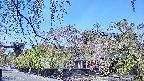 area1-20250501085014.jpg