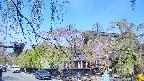 area1-20250501090014.jpg