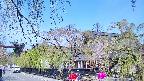 area1-20250501091017.jpg