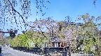 area1-20250501092016.jpg