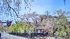 area1-20250501094015.jpg