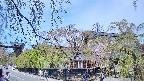 area1-20250501100016.jpg