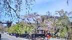 area1-20250501101015.jpg