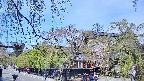area1-20250501103014.jpg