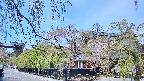 area1-20250501104014.jpg