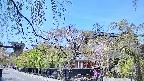 area1-20250501112015.jpg