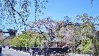 area1-20250501115013.jpg
