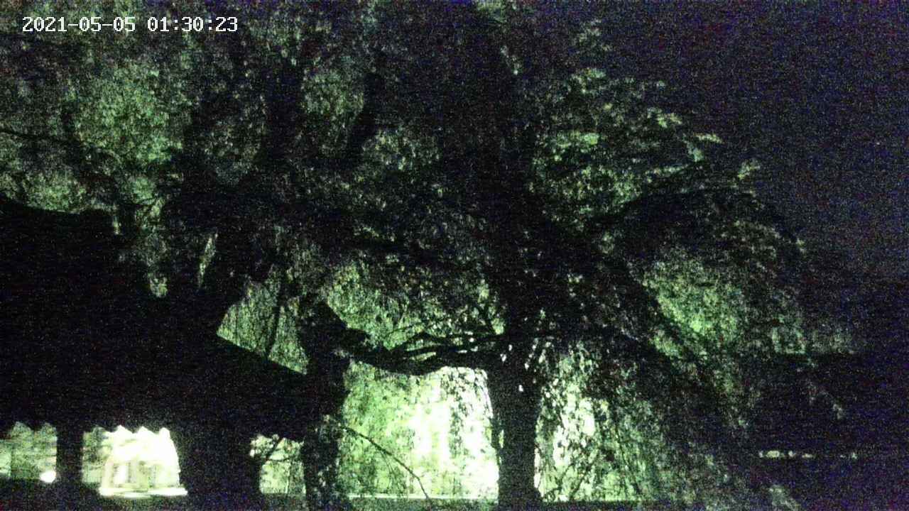 area2-20210505013024.jpg