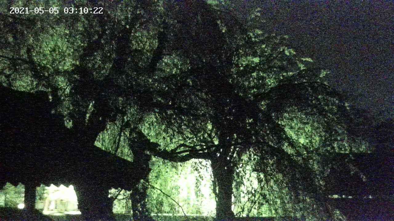 area2-20210505031024.jpg