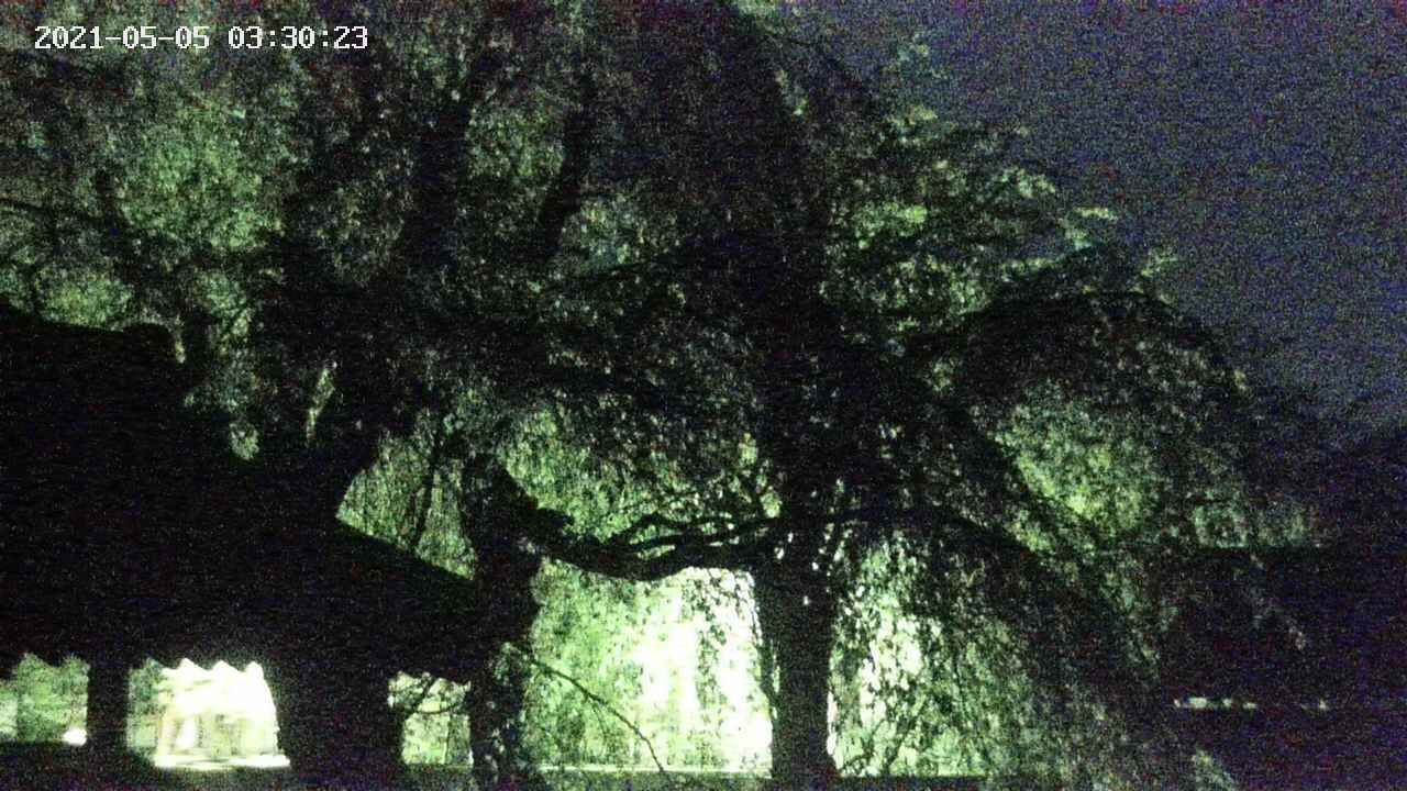 area2-20210505033025.jpg