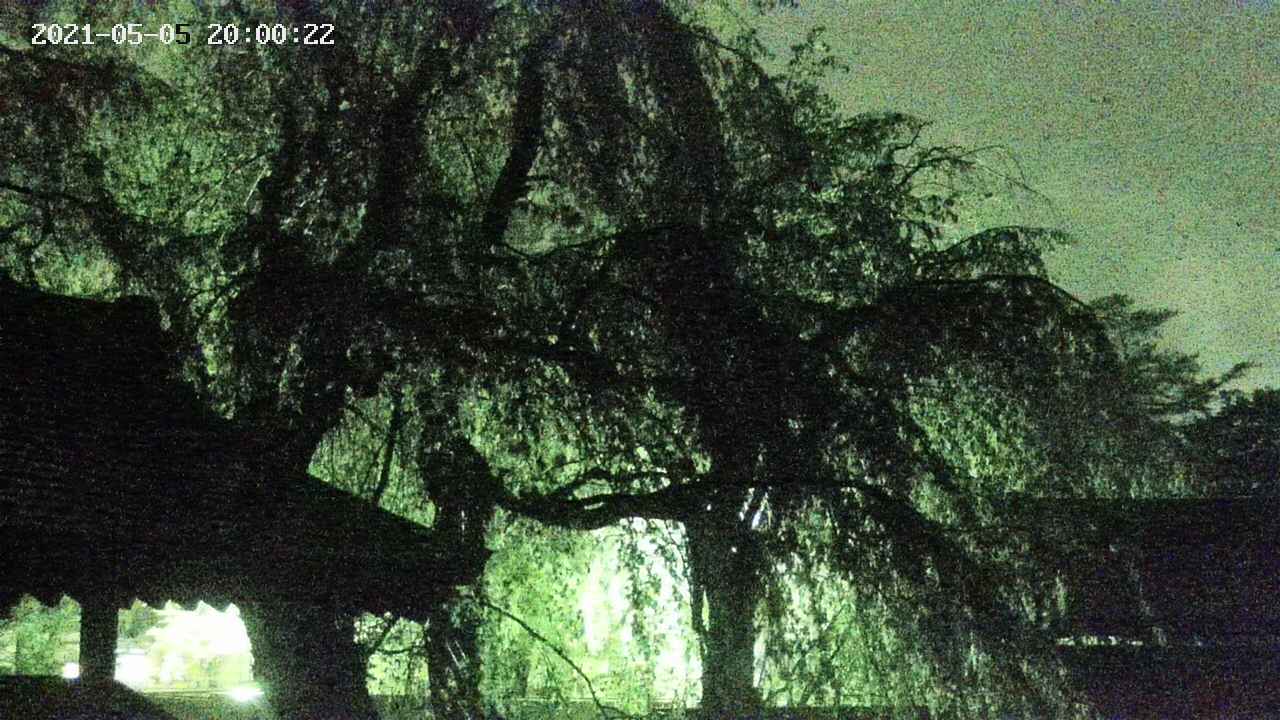 area2-20210505200023.jpg