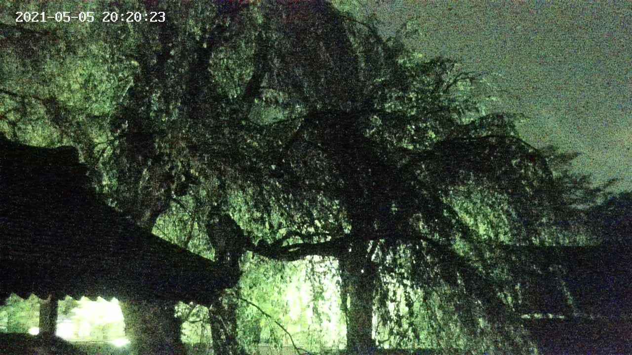 area2-20210505202024.jpg