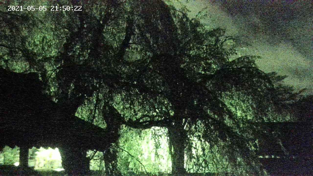 area2-20210505215024.jpg