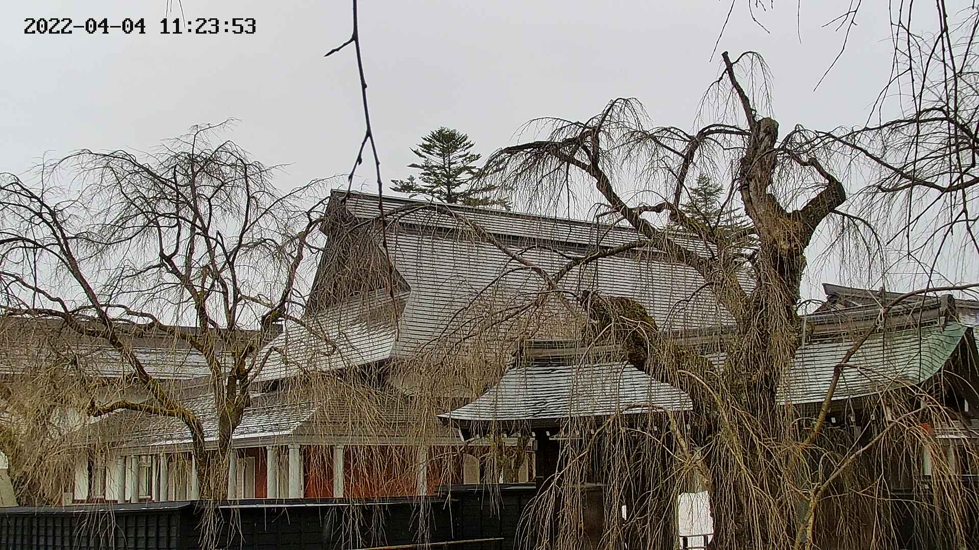 area2-20220404112356.jpg