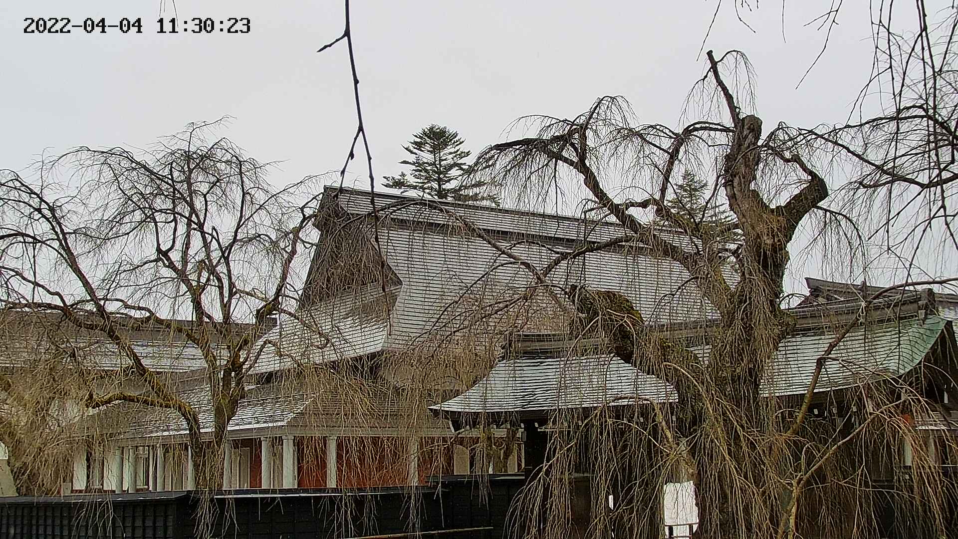 area2-20220404113027.jpg