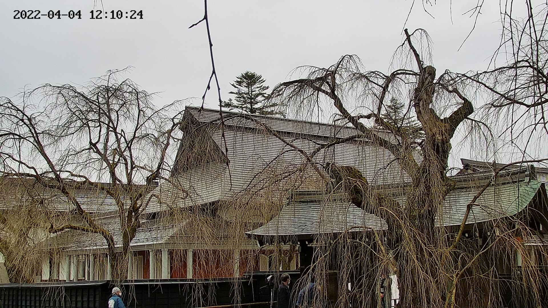 area2-20220404121026.jpg