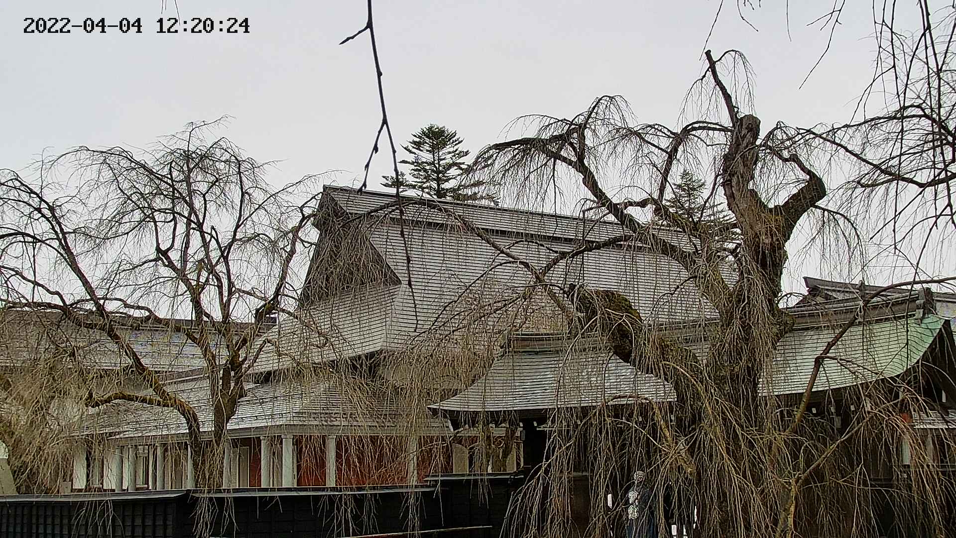 area2-20220404122026.jpg