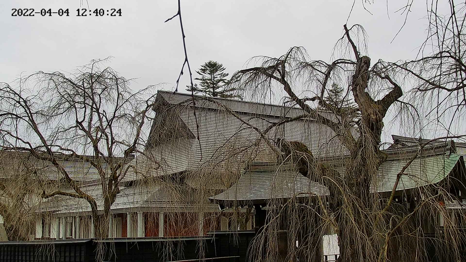 area2-20220404124026.jpg