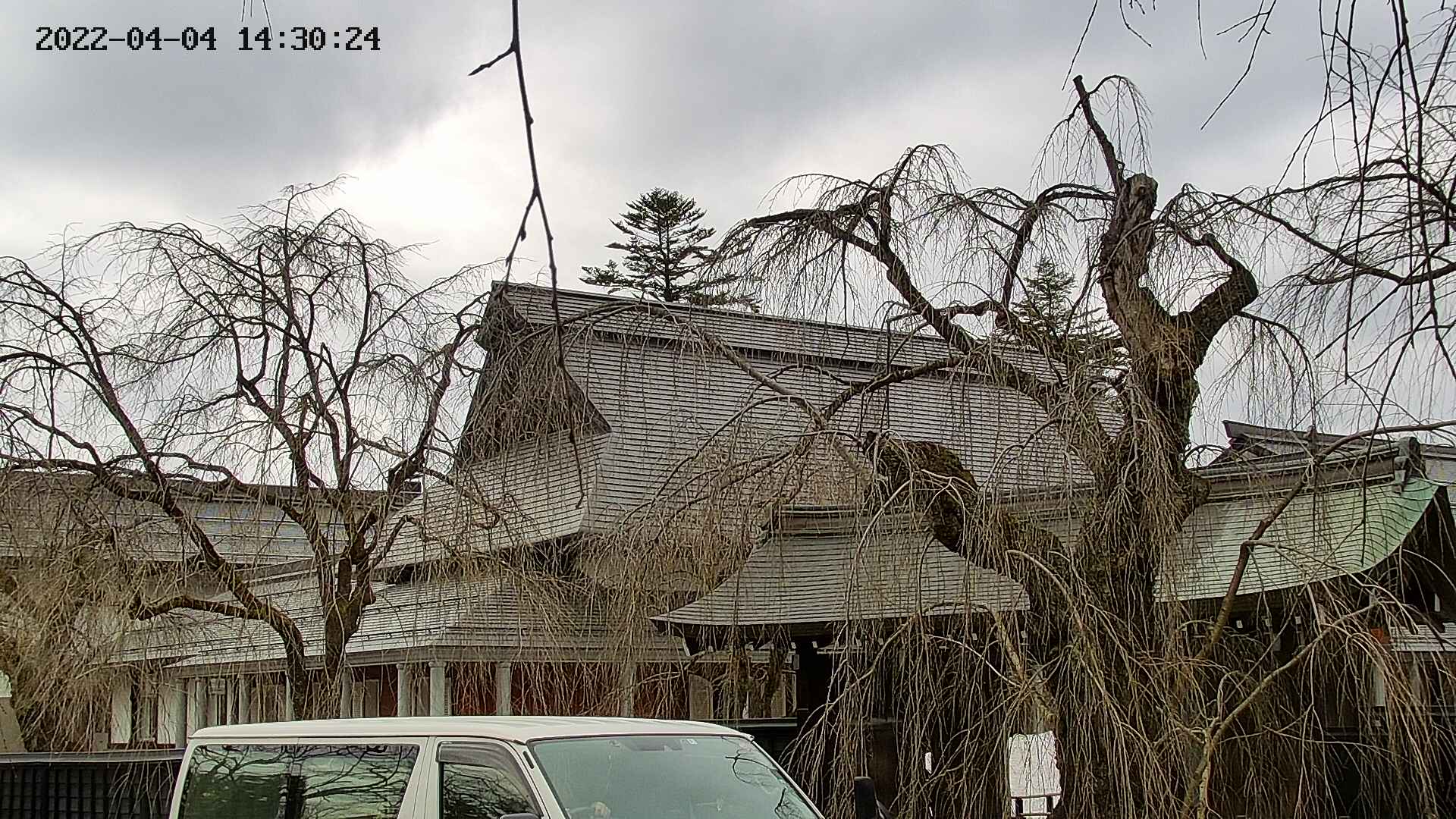 area2-20220404143026.jpg