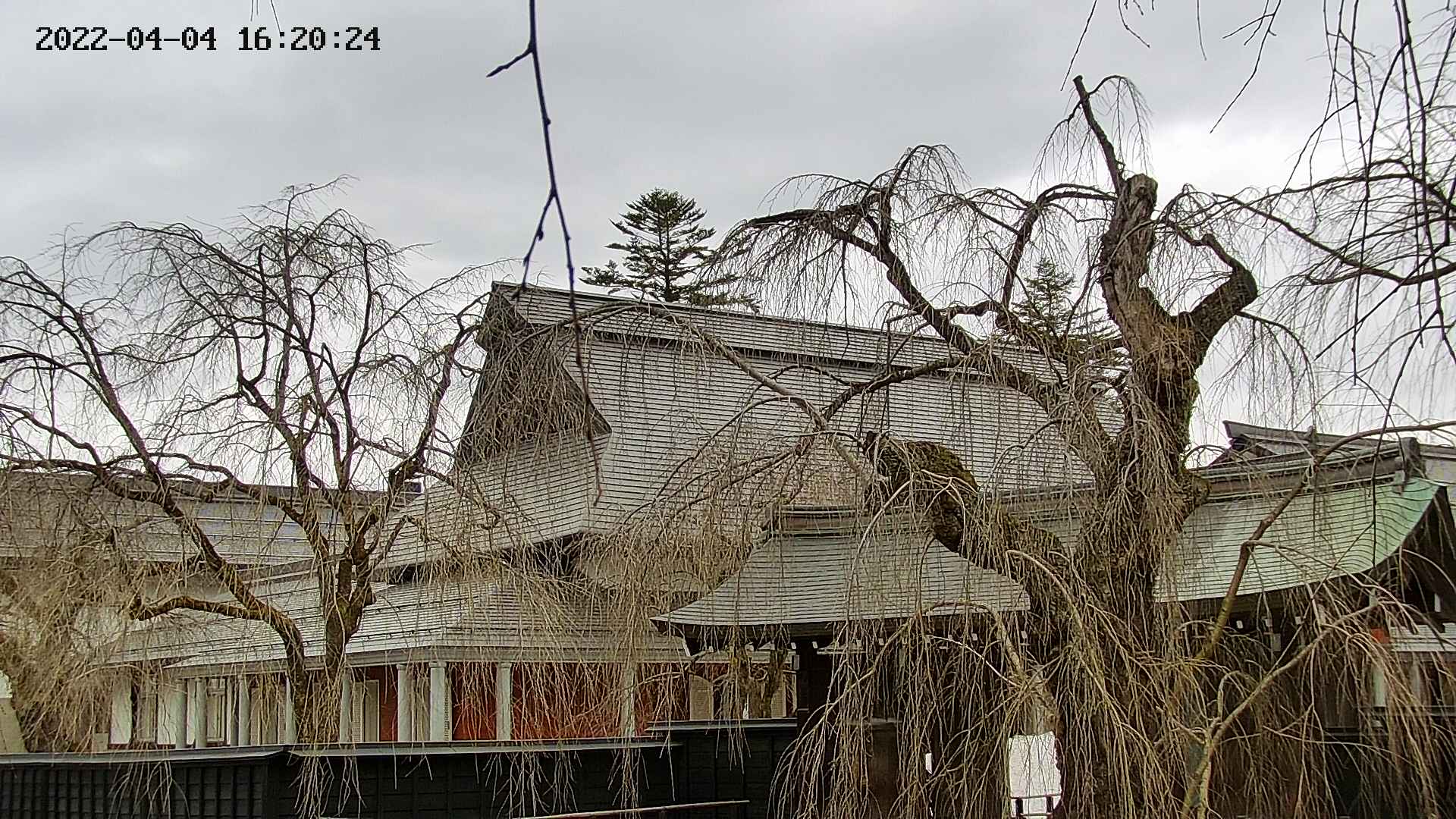 area2-20220404162025.jpg
