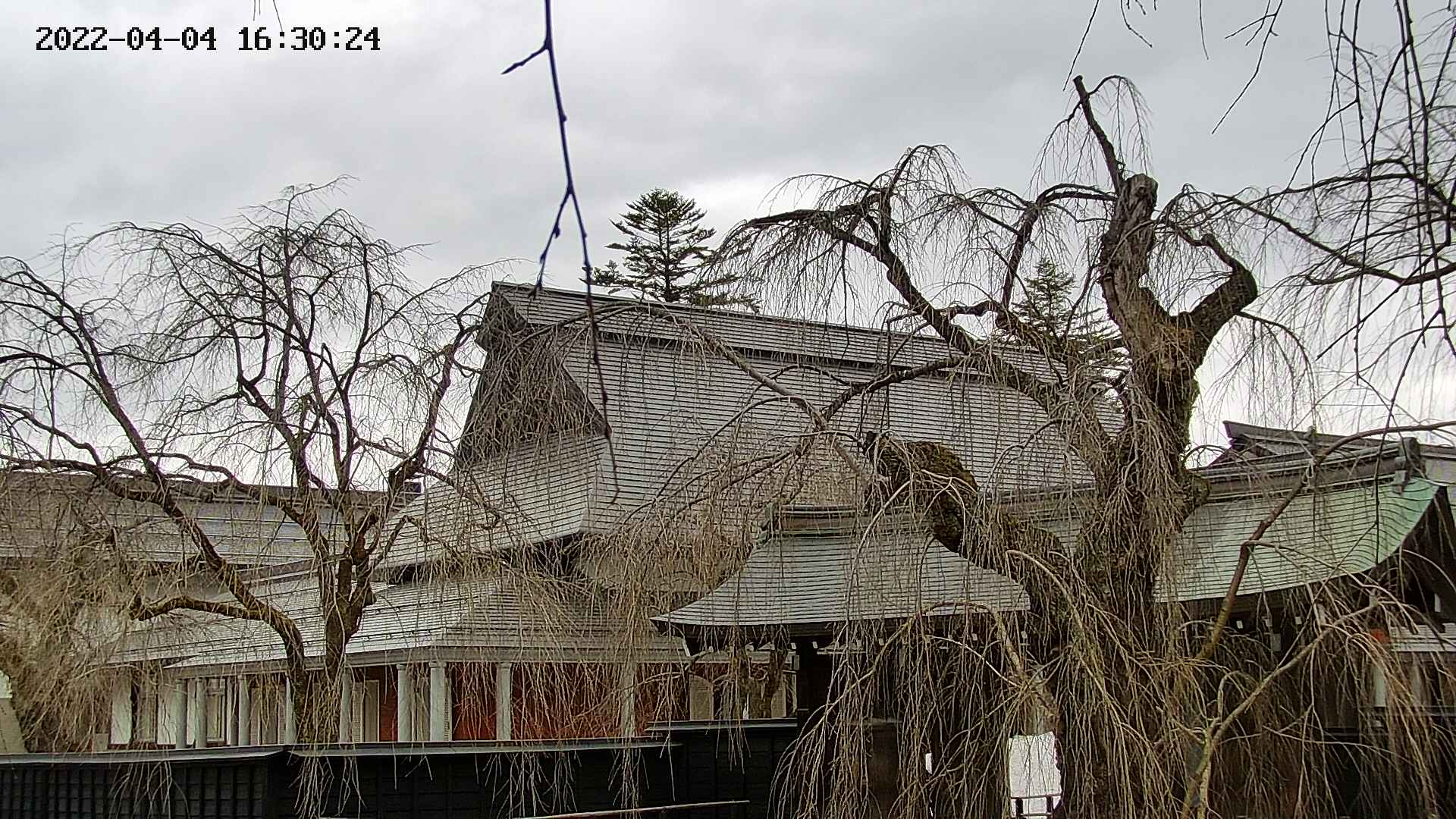 area2-20220404163026.jpg