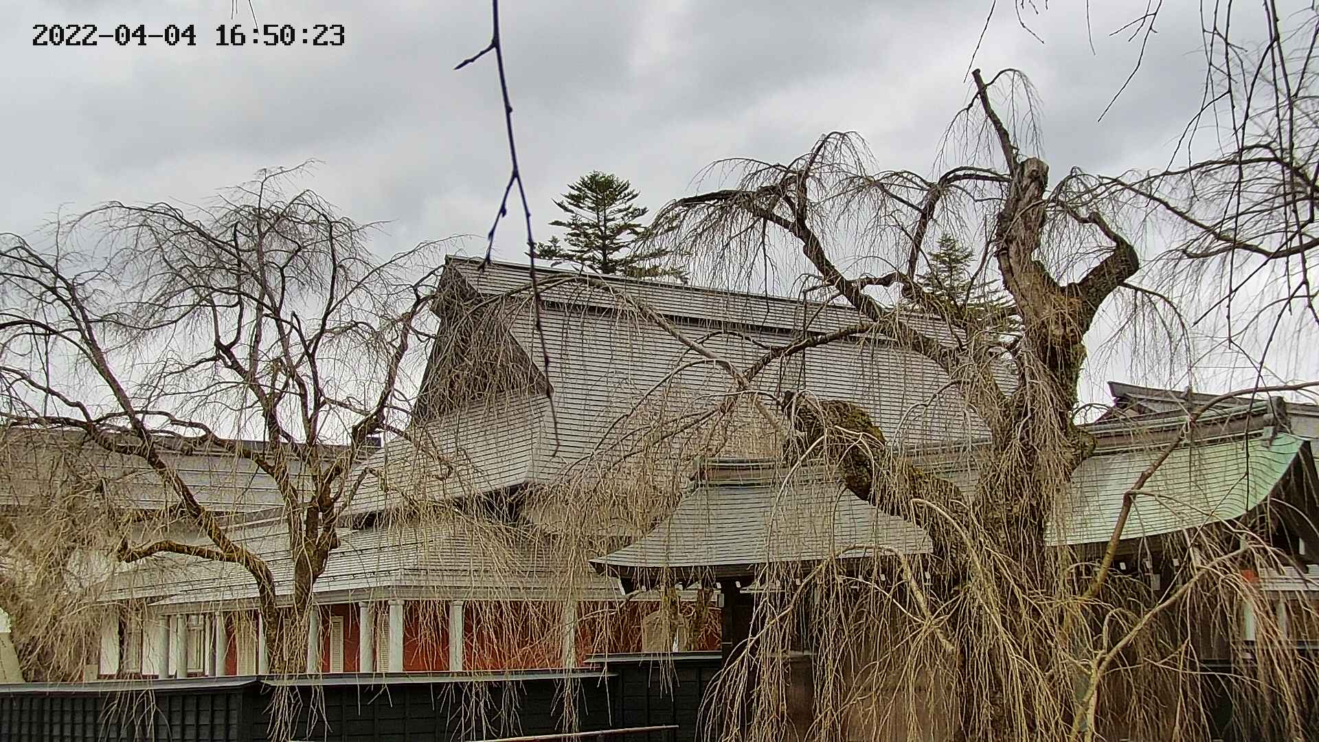 area2-20220404165025.jpg