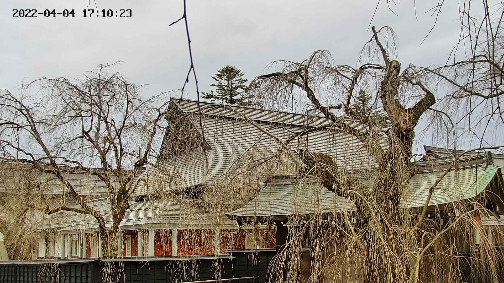 area2-20220404171025.jpg