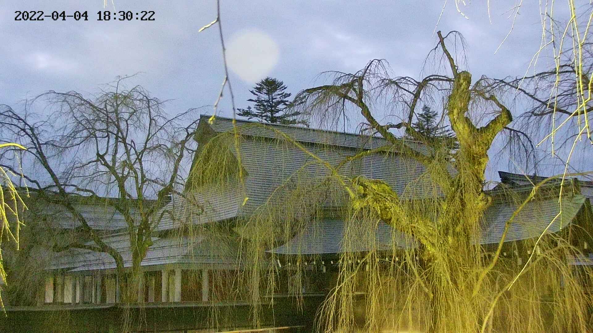 area2-20220404183024.jpg