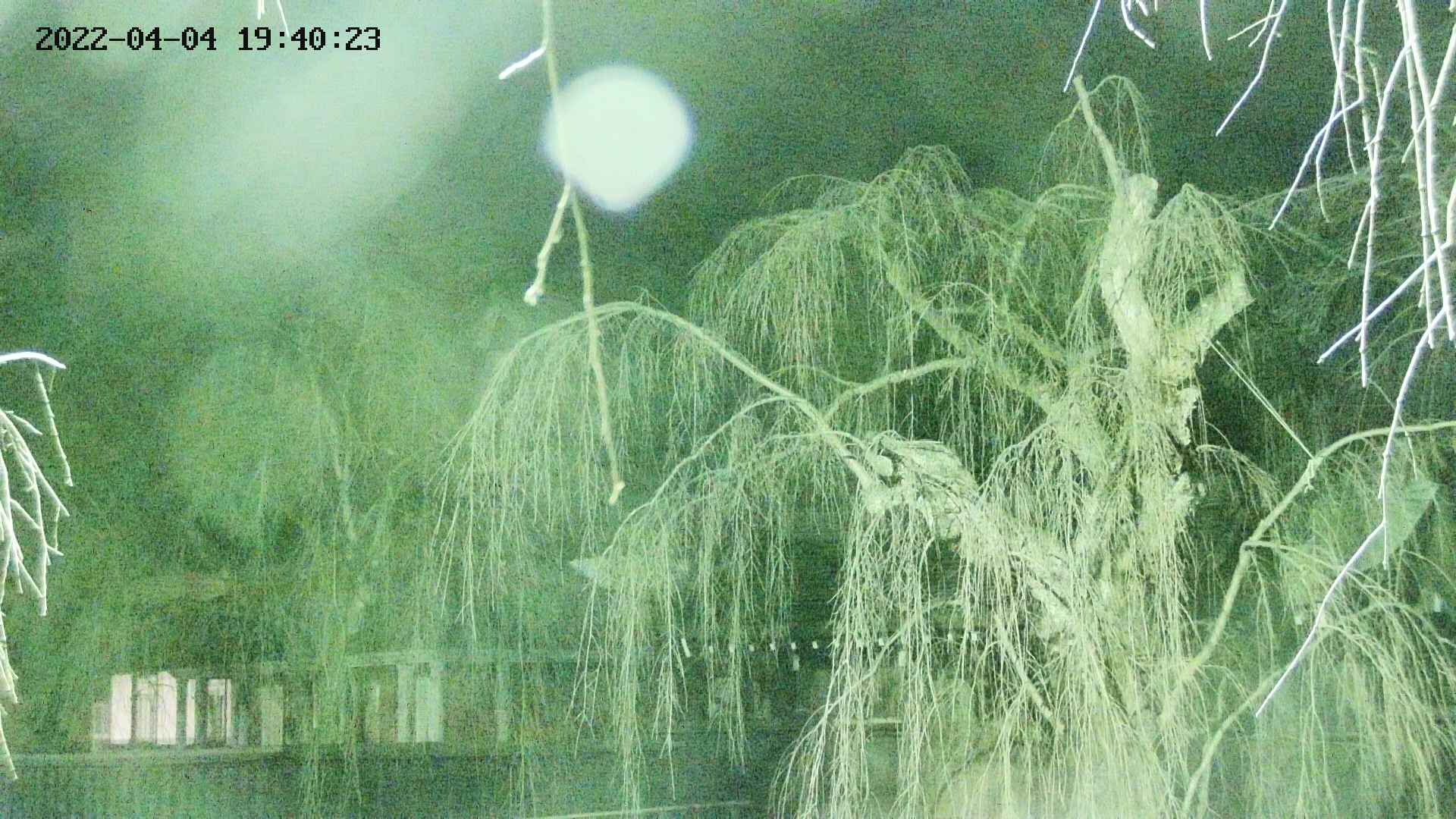 area2-20220404194024.jpg