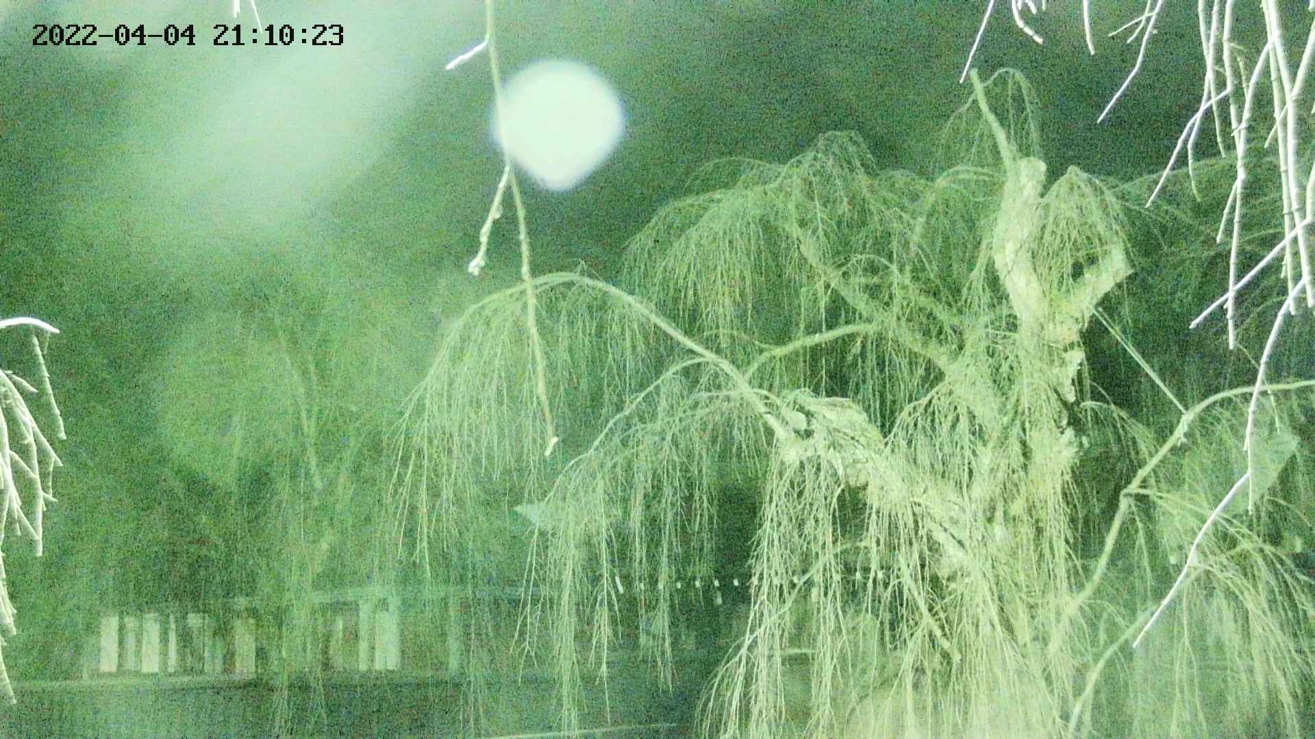 area2-20220404211024.jpg