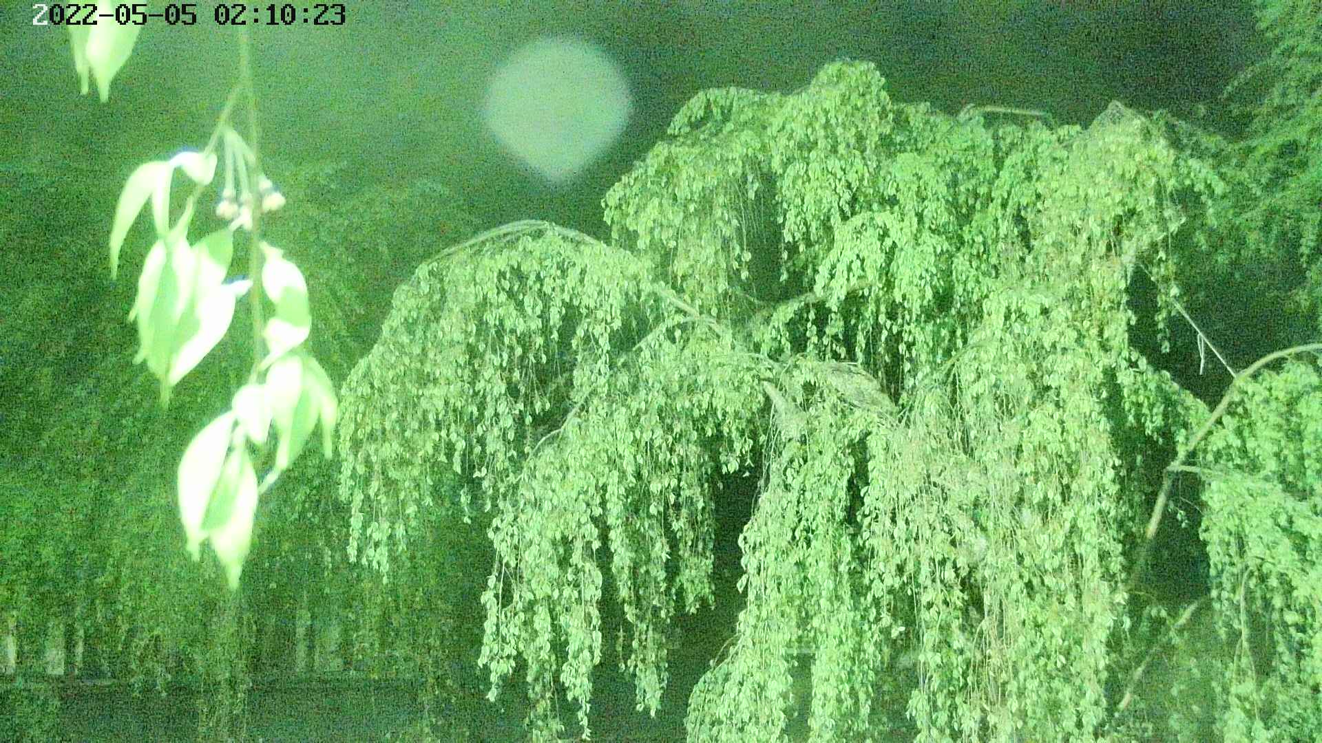 area2-20220505021025.jpg