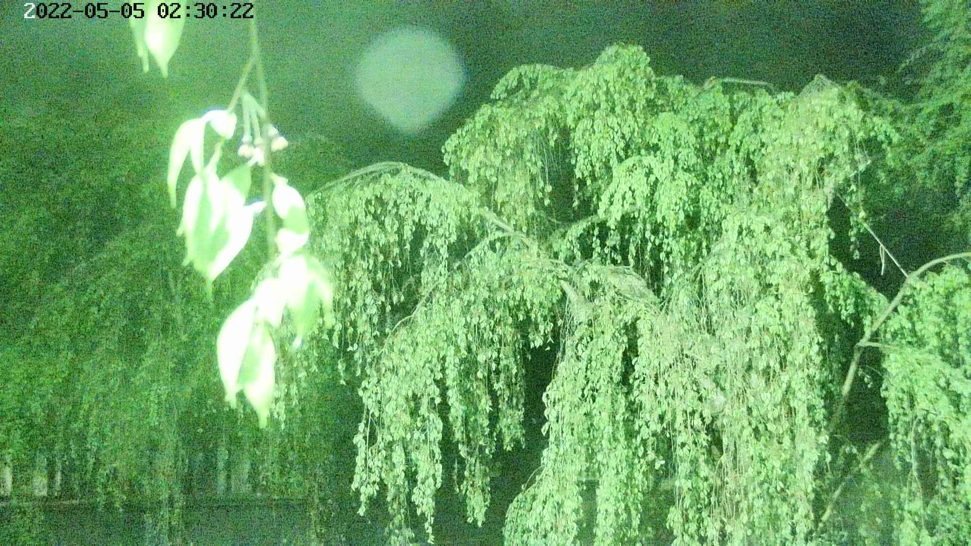 area2-20220505023024.jpg